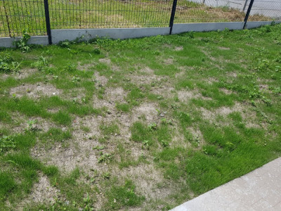 20190618_140831.jpg