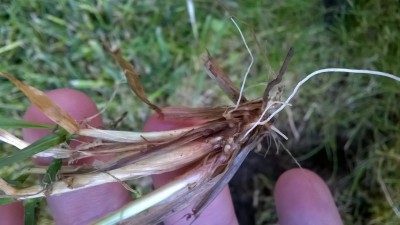 WP_20160413_003.jpg