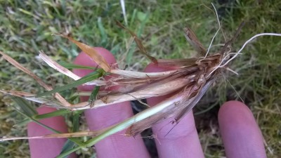 WP_20160413_004.jpg