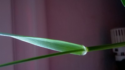 WP_20160414_003.jpg