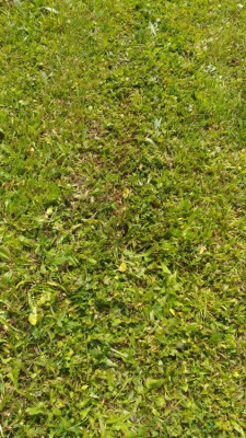 P-20190620-151309.jpg
