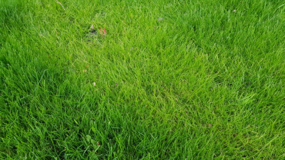 photo 4.jpg