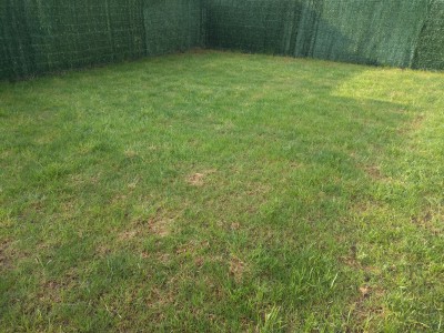 IMG_20160416_082458.jpg