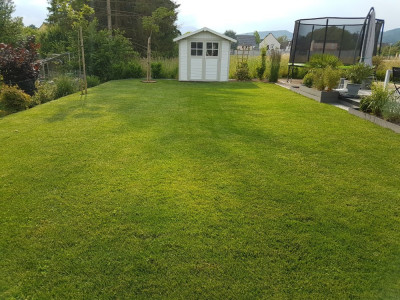 20190622_174914.jpg