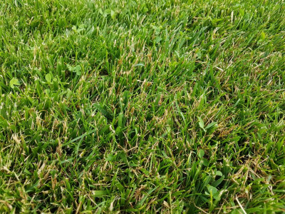 20190622_174939.jpg