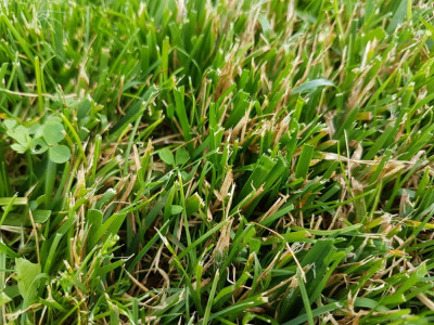 20190622_174944.jpg