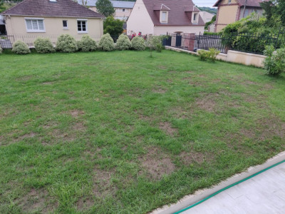 Jardin du 23-06 (02).jpg