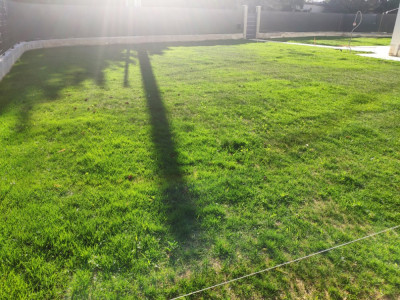 IMG-20190608-183837.jpg