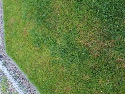 20190625_210113.jpg
