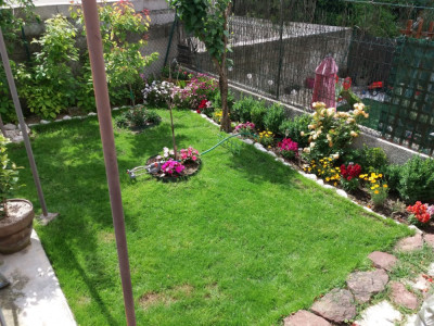 20190518_155614.jpg