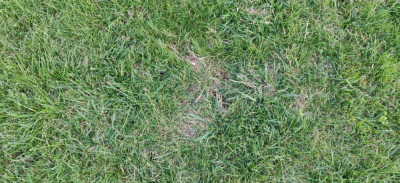 1562248997-img-20190701-212223.jpg