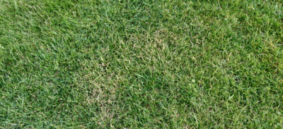 1562248996-img-20190701-212200.jpg