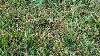 20190708_203149.jpg