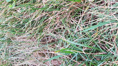 20190709_073930.jpg