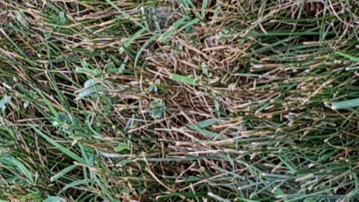 20190709_073916.jpg
