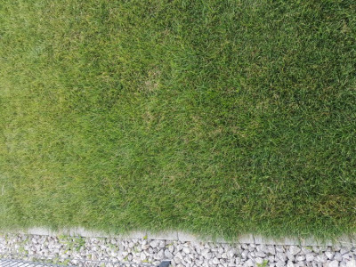 20190710_200951.jpg