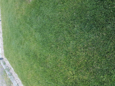 20190710_201041.jpg