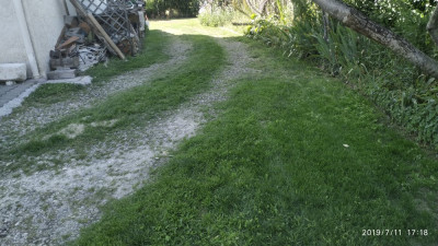 IMG_20190711_171806.jpg