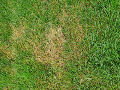 20190714_115355.jpg