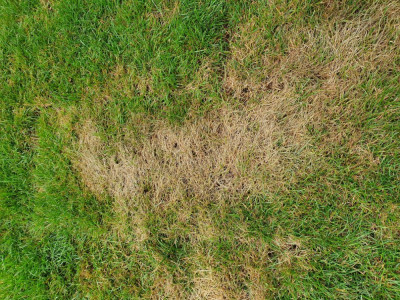20190714_115400.jpg