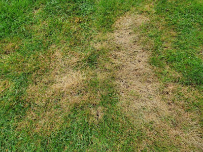 20190714_115405.jpg