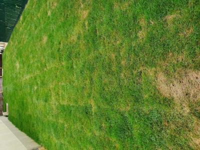 20190714_115410.jpg