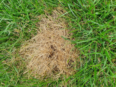 20190714_171430.jpg