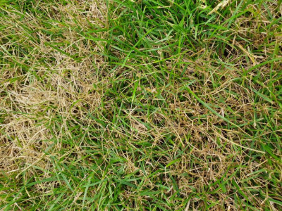 20190714_171530.jpg