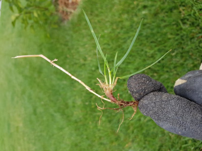 20190715_103940.jpg