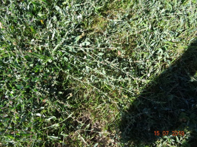 DSC02845.JPG