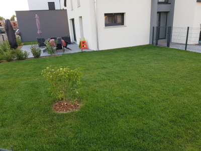 20190715_204002.jpg
