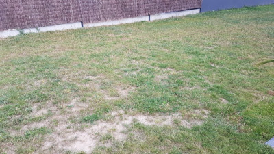 20190719_075123.jpg