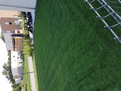 20190727_174827.jpg