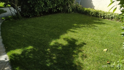 IMG_20190728_170517.jpg