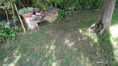 IMG_20190728_170539.jpg