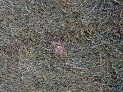 20190729_213431.jpg