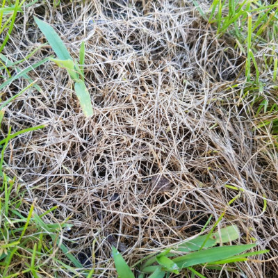 20190729_093026.jpg