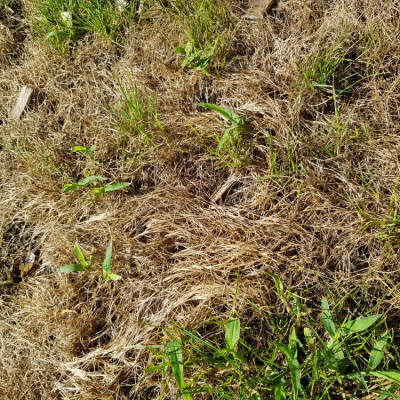 20190729_093058.jpg