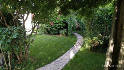 IMG_20190810_191420.jpg