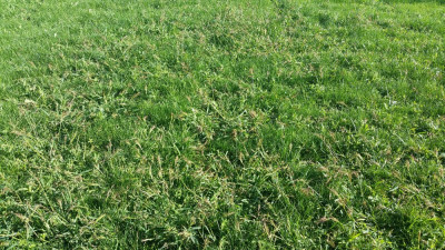 20190812_180548.jpg