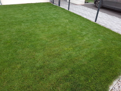 20190820_202203.jpg