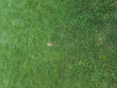 20190820_202210.jpg