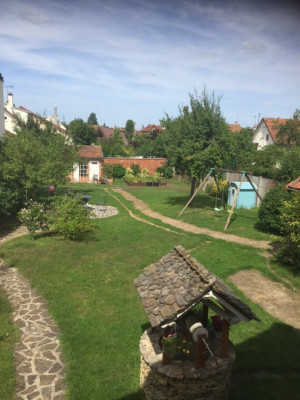 Avant la tonte d'hier : les tranchés sont liées a l'installation du réseau d'arrosage. Le dégarnissage large est l'effet de la bâche laissée trop longtemps sur le sol.<br /><br />J'ai enlevé beaucoup de mauvaise herbe à la main. IL a donc des trous. Le problème c'est les digitaires. Les zones violacées en sont.