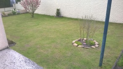 scarification sur un de mes cotés