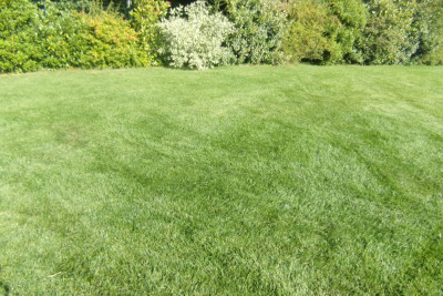 101_0038.JPG