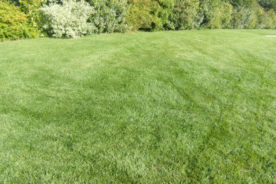 101_0039.JPG