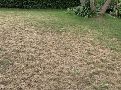 été 2019