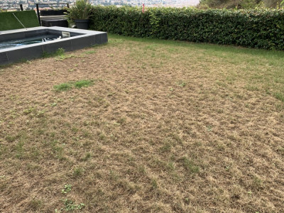 été 2019