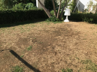 été 2018