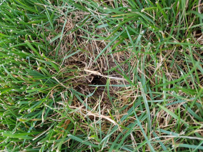 20190901_171047.jpg